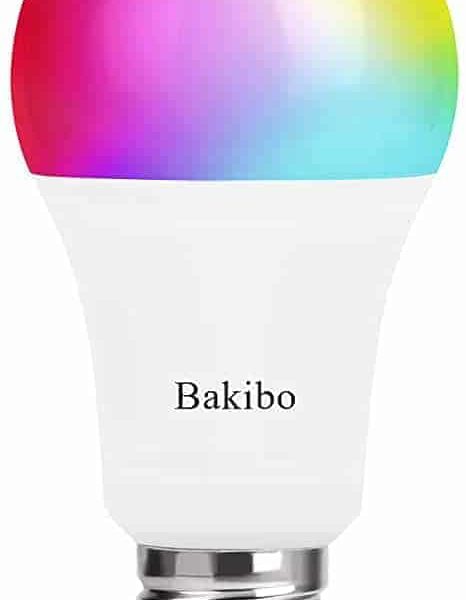 bakibo