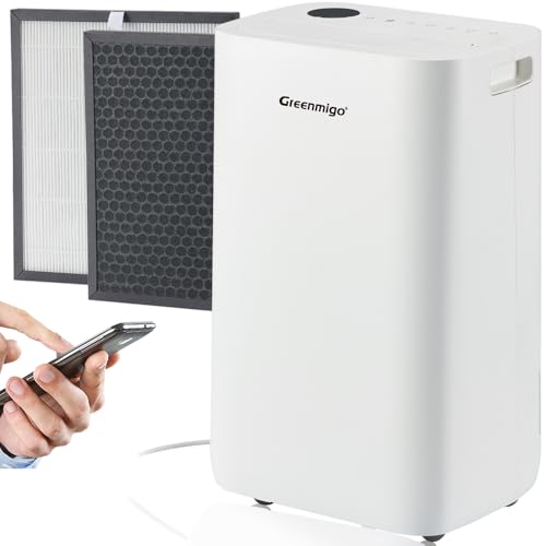 Greenmigo DFQ25 Pro WiFi